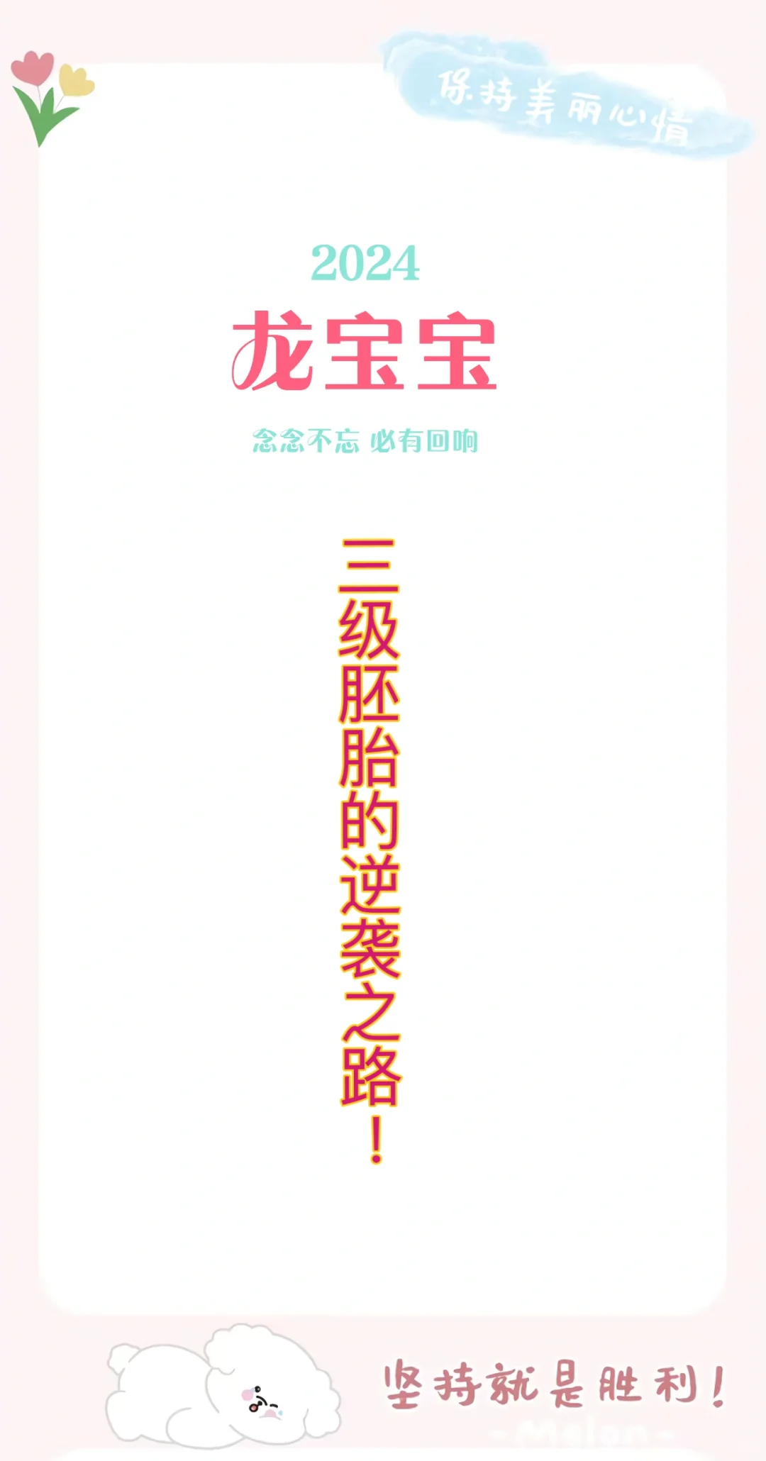 试管助孕新希望：3级胚胎的奇迹逆袭之路