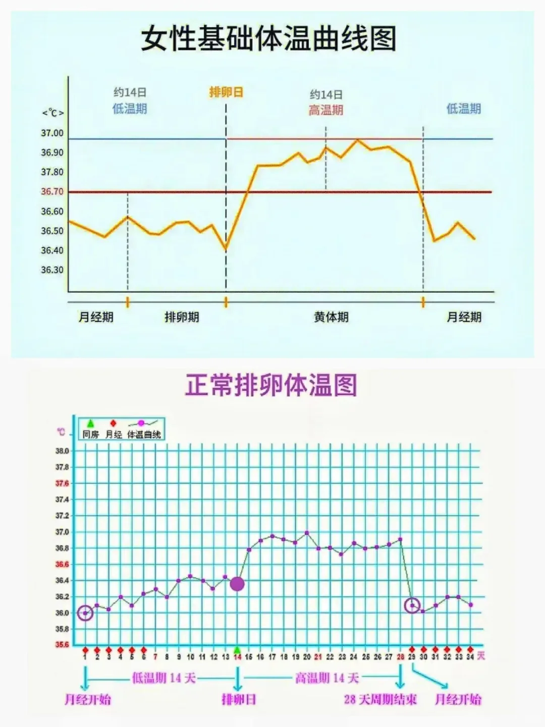 金华助孕指南：基础体温助您科学备孕，兼顾试管、代生与供卵代怀选择