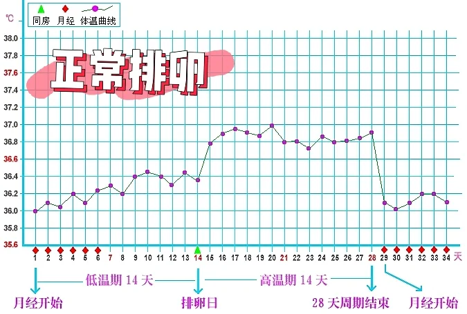 北京子宫内膜薄如何有效治疗？专业助孕策略深度解析