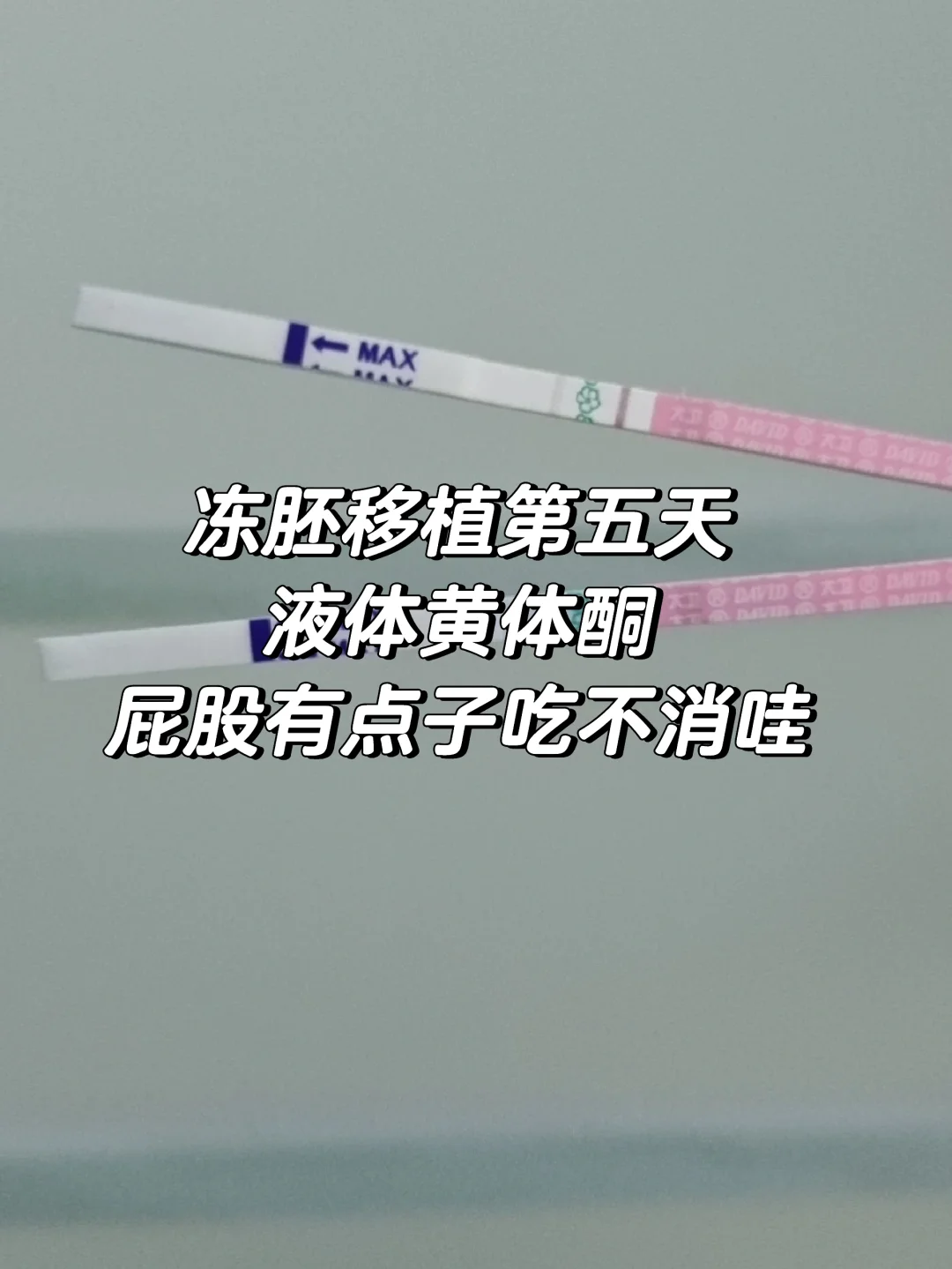 冻胚移植D5 屁股疼到哭,国内试管供卵中介_代孕套餐详情