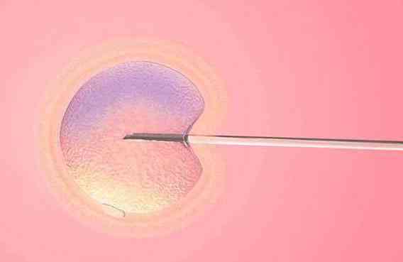 金华试管助孕必读：广州第三代试管婴儿移植后饮食禁忌